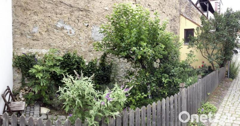 Das kleine Gärtchen in der Jesuitenfahrt steht wieder einmal in der Kritik. Bild: Clemens Zahn