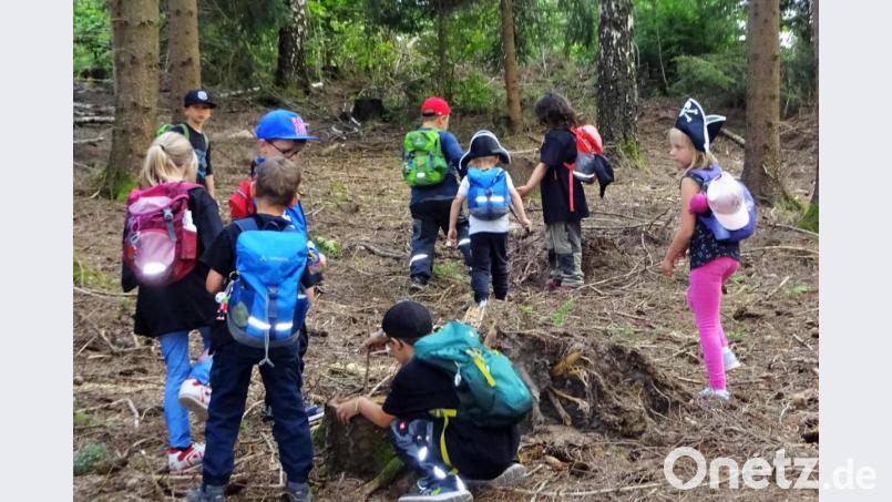Nicht auf einer geheimnisvollen Insel, sondern im Wald gingen die jungen Piraten auf Schatzsuche. Bild: hl