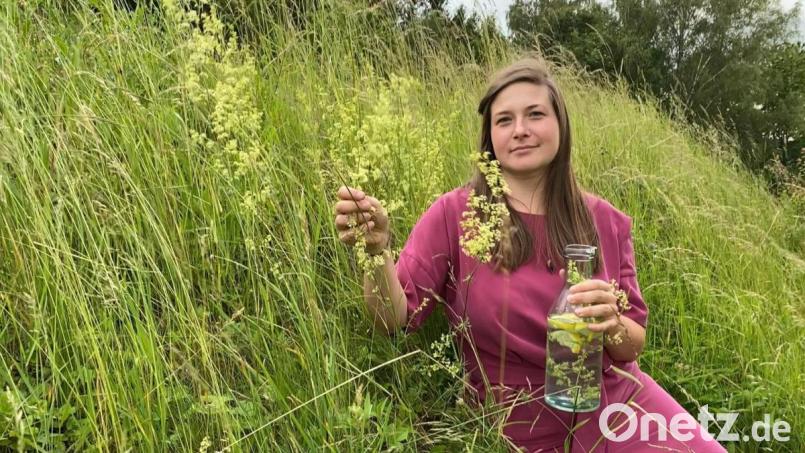 Cornelia Müller schwärmt von der Vielseitigkeit der Labkräuter und sammelt Zutaten für die „Wiesn-Weiße“. Bild: Cornelia Müller