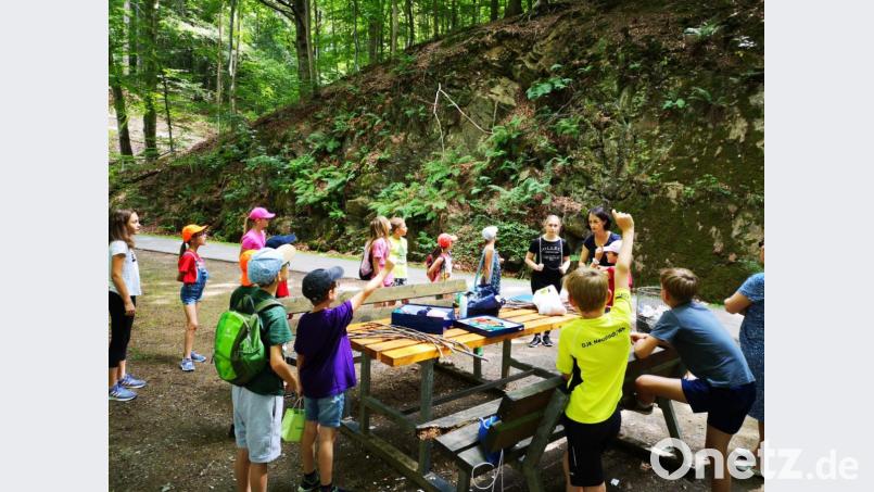 Miriam Bayer führt in die Thematik von Landart ein Bild: stn