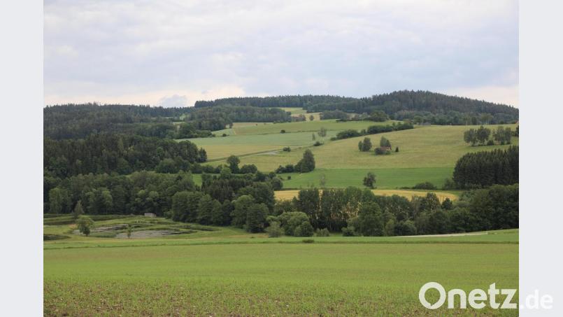 Auf dem &quot;Kienzelbierl&quot; (Bildmitte) beim Seeberg soll ein Funkmast errichtet werden. Im Gemeinderat wurde betont, dass alle Bürger von dieser Zukunftsentscheidung profitieren. Bild: akp