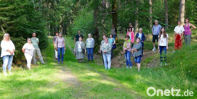 Organisiert hat Exkursion, die die FU Wiesau durch den Steinwald führte, Rita Korb (Fünfte von links). Fachmännisch begleitet wurden die Teilnehmer von Revierförster Eckhard Deutschländer (Dritter von links). Bild: wro