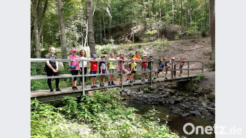 Auch im Wald kann man Spaß haben Bild: stn