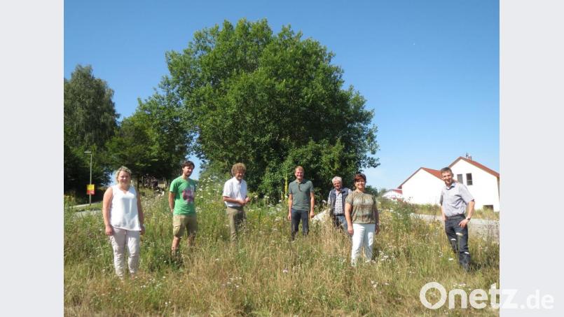 Bei einem Besuch in der Gemeinde Brennberg im Landkreis Regensburg machte sich eine Delegation aus Ursensollen ein Bild von den Maßnahmen, die dort in Sachen Biodiversität in Gang gekommen sind. Bild: Resi Beiderbeck
