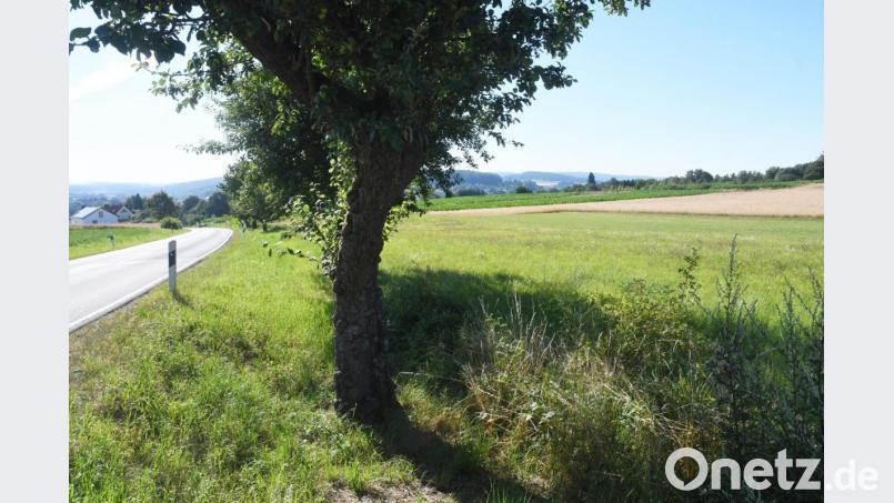 Südlich des Breiten Weges sollen ein Wohn- und möglicherweise ein Gewerbegebiet entstehen. Zuvor will der Stadtrat den Flächensparmanager der Regierung hören und sich wegen einer Machbarkeitsstudie beraten. Bild: Gabi Schönberger
