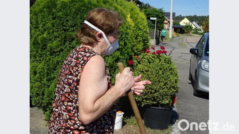 So ging das über etliche Tage hinweg: Eimer aufgestellt, Besen in der Hand und sorgenvolle Blicke hinüber auf ein Feld, von dem aus riesige Scharen von Blattrandkäfern ihren Weg in Richtung Wohnsiedlung nahmen. Nicht nur für Barbara Brandl ein stressiger Dauereinsatz gegen die unverhofft einsetzende Plage. Bild: Houschka