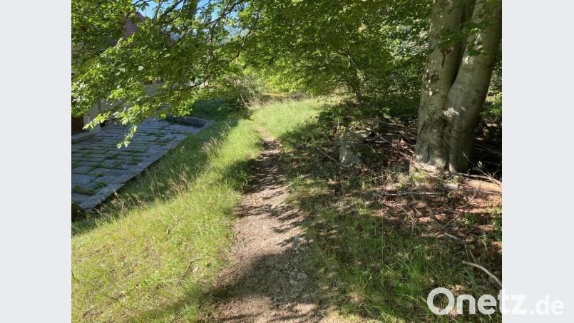 Der Weg zum Steinhauerhaus vom Sportplatz aus: ein schmaler Trampelpfad. Bild: Eichl