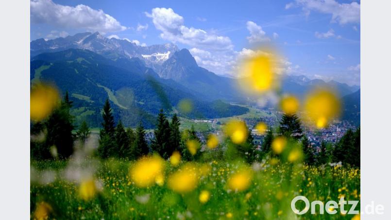 Im Hintergrund sind die Gipfel des Wettersteins mit der Zugspitze zu sehen. Foto: picture alliance / Sven Hoppe/dpa Bild: Sven Hoppe
