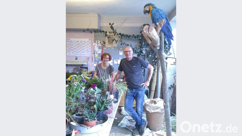 Bei "Charlys Werkstatt!" handelt es sich um einen Blumenladen in den Verkaufsräumen einer ehemalige Kfz-Werkstatt mit vorgelagerter Tankstelle. Besonderer Hingucker sind die drei Papageien, die Karl Beer in den Geschäftsräumen hält. Bild: exb