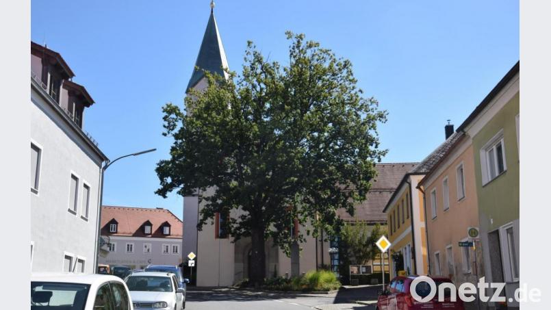 Die Friedenseiche auf dem Waldthurner Marktplatz soll begutachtet und gegebenenfalls saniert werden. Bild: fla