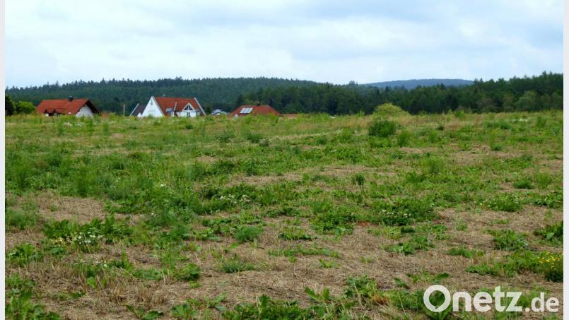 Auf dieser ehemaligen landwirtschaftlich genutzten Fläche, die derzeit brach liegt, entsteht das neue Baugebiet Gladiolenweg, für das nun der Gemeinderat strikte Vergabekriterien beschloss
. Bild: fsb