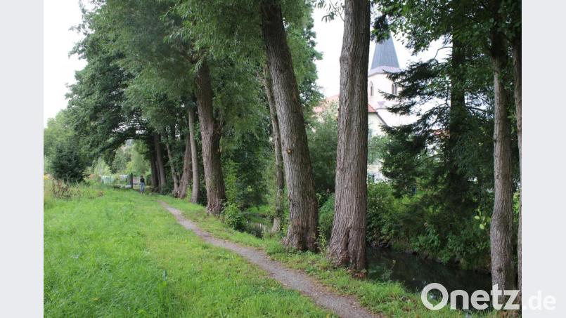 Das Gelände an der Thumbach hinter der Mariä-Himmelfahrt-Kirche soll neu gestaltet werden. Das Wasserwirtschaftsamt hat nun bei den Planungen Anpassungen vorgenommen. Bild: sne