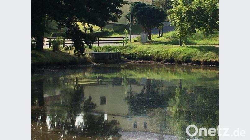 Dem gesunkenen Wasserstand am Dorfweiher in Lengenfeld soll auf den Grund gegangen werden. Bild: fpoz