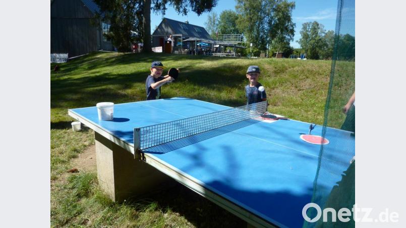 Endlich allein am großen Tisch. Bild: pw