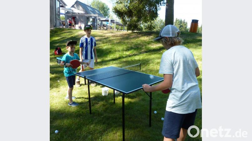 Auf Einladung des TSV Waldershof lernten elf Kinder die Grundfertigkeiten des Tischtennisspiels. Bild: pw