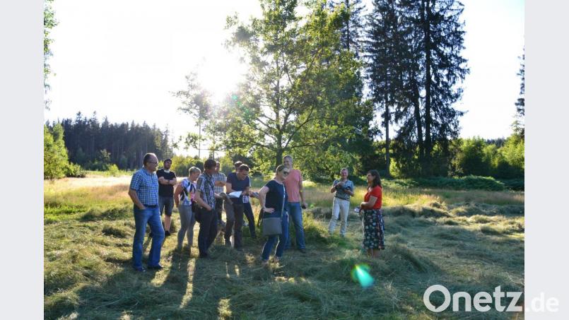 Die Abordnung der Landtagsfraktion von Bündnis 90/Die Grünen sieht sich unter anderem im Kainzbachtal um. Bild: Josef Glas