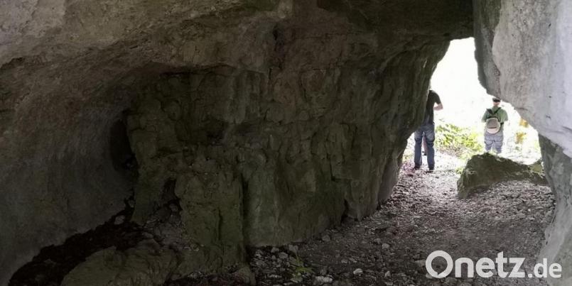 Versteckt liegt diese Durchgangshöhle in der Abteilung Lohgraben des Herzogswalds. Archivbild: wsl