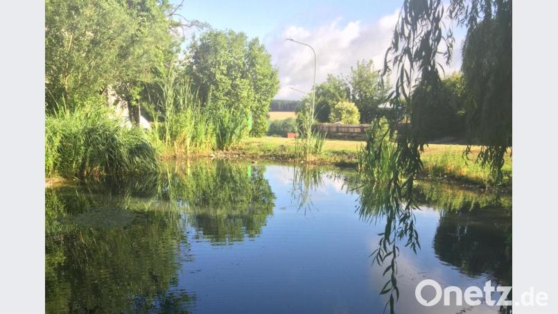 Der Pittersberger Dorfweiher vor etwa drei Wochen mit noch vollem Wasserstand sowie idyllischer Einbindung durch die Natur. Alle hatten ihre besondere Freude daran, ob Mitglieder der Gemeinschaft oder Nachbarn ringsum und auch fremde Besucher. Bild: gm