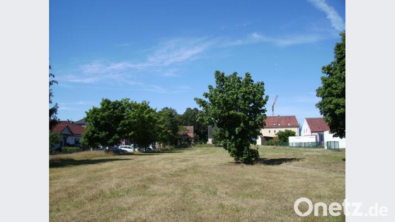 Auf den Wiesengrundstücken gegenüber dem alten Markt entsteht im kommenden Jahr ein neuartiger Lebensmittel-Discounter. Bild: bjp