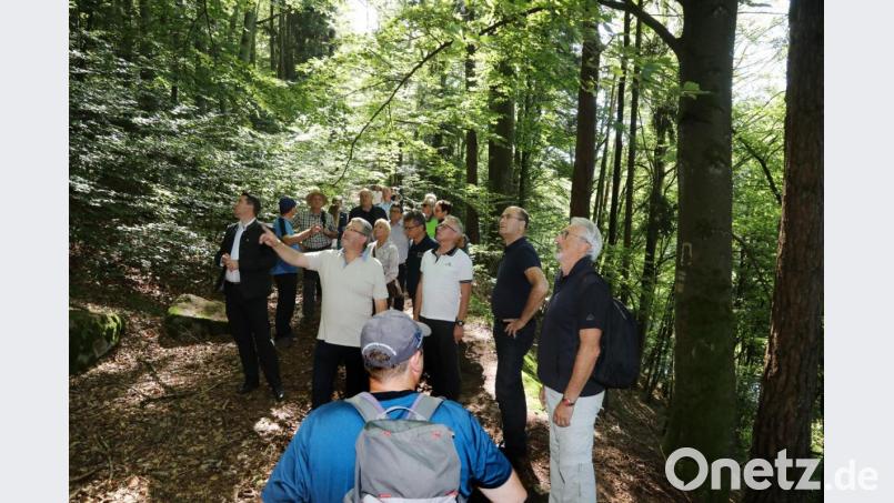 Immer wieder bleibt die Wandergruppe stehen, genießt die Ruhe oder betrachtet besondere Naturschönheiten. Bild: Gerhard Götz