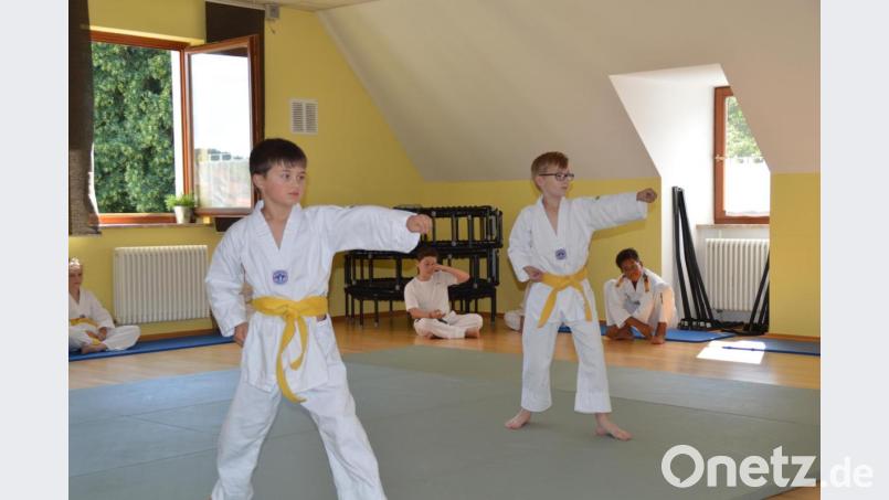 Mitglieder des 1. FC Rieden sind erfolgreich bei der Taekwondo-Gürtelprüfung. Bild: Manfred Dotzler