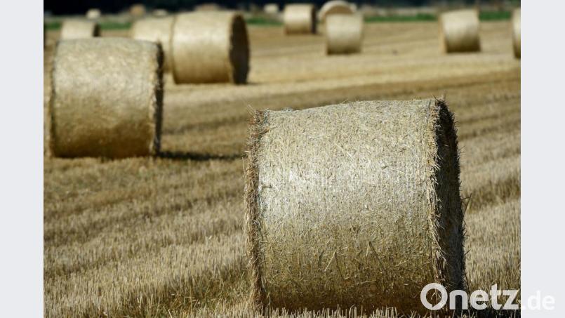 Bei Feldarbeiten (Symbolbild) )ist in Pommelsbrunn ein Landwirt verunglückt. Symbolbild: Holger Hollemann/dpa