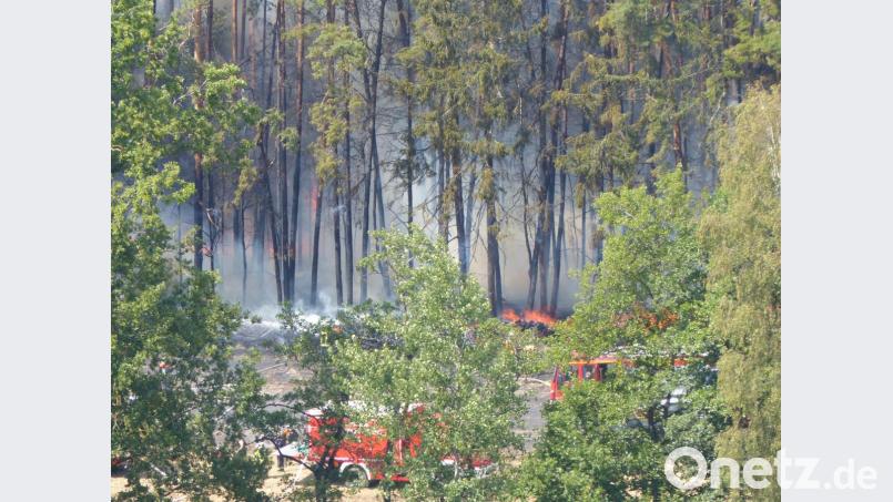 Teils meterhohe Flammen hatte die Feuerwehr bei dem Waldbrand zwischen Schlammersdorf und Naslitz zu bewältigen. Bild: lgc