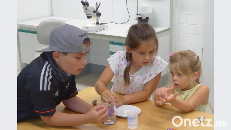 Wie bringen wir das Teelicht zum Schwimmen?“, beratschlagen Lukas, Luisa und Lucia. Bild: fsb