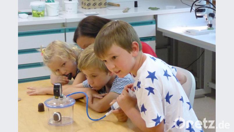 Spannend: Der Schokokuss beginnt zu zerbröckeln. Bild: fsb