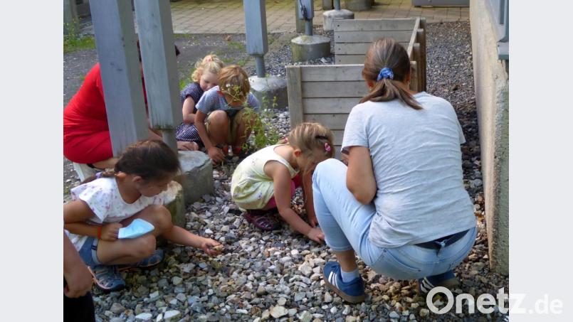 Zunächst geht es ans Sammeln kleiner Dinge. Bild: fsb