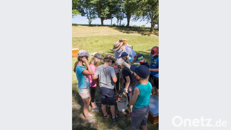 Bernd Schwamberger (mit Strohhut) erklärt den Kindern verschiedene Werkzeuge des Imkers. Bild: Holger Wolfrum