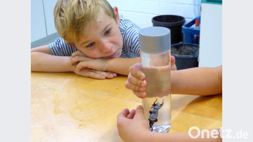 Der Teufel sinkt tatsächlich zu Boden, staunt Timi. Bild: fsb