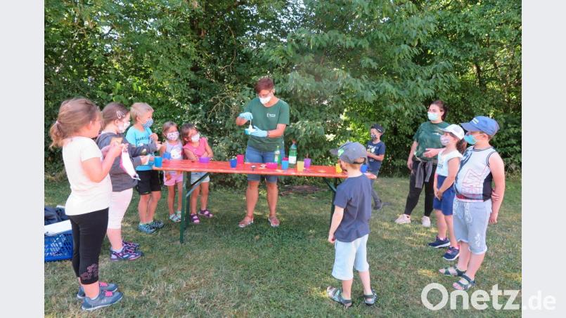 Die kleinen Hexen und Zauberer passten genau auf, welche Zutaten ihre Betreuerin Anna Lehner für den Zaubertrank verwendete. Bild: jzk