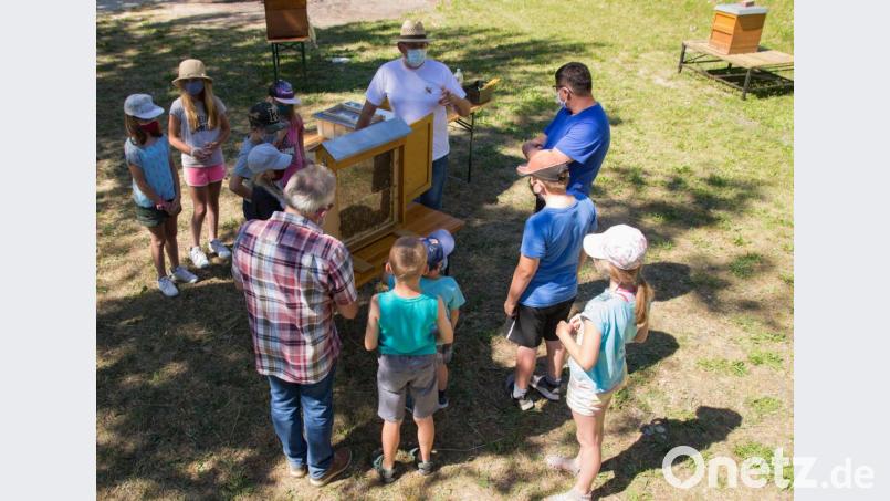 Vorsitzender Bernd Schwamberger (hinten Mitte), zweiter Vorsitzender Alois Sladky (rechts daneben) und Hubert Schwamberger (vorne links) erklären den Kindern das Leben in einem Bienenstock Bild: Holger Wolfrum