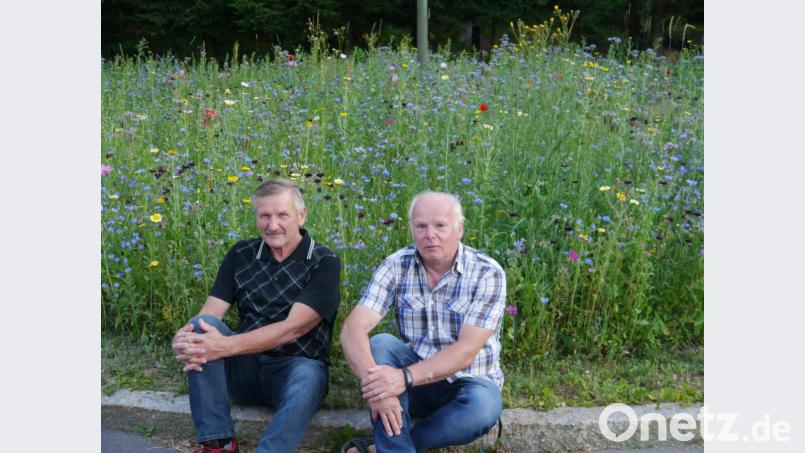 Es kreucht und fleucht im Recyclinghof der Gemeinde: 
Vorsitzender und Ideengeber Edwin Prechtl (rechts) und Mitglied und Blumen- und Kräuterkenner Bernd Sticht. Bild: gis
