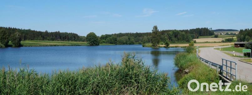 Auf Anfrage im Gemeinderat wird Bürgermeister Walter Schauer die Beprobung des Mühlweihers veranlassen, um sicherzustellen, dass die Wasserqualität zum Baden geeignet ist. Bild: weu