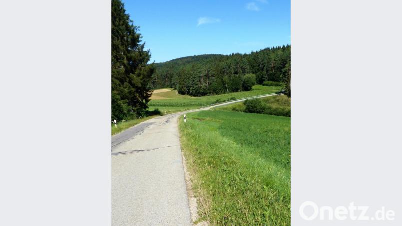 Bis zur Abzweigung nach Umelsdorf (rechter unterer Bildrand) wird die Straße zwischen Kastl und Utzenhofen im ersten Bauabschnitt gesperrt. Bild: jp