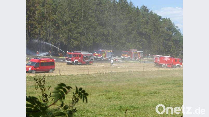 In einem Waldstück zwischen Schlammersdorf und Naslitz hat es am Samstag gebrannt. Die 300 Einsatzkräfte konnten die Flammen nach einer Stunde unter Kontrolle bringen. Bild: lgc