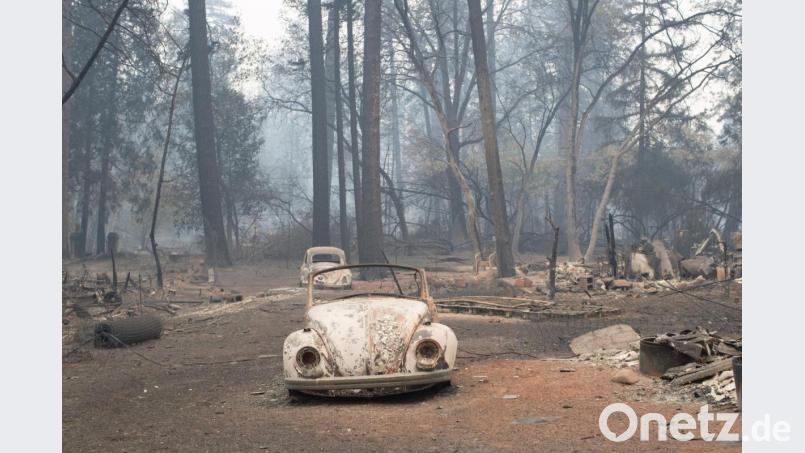 Die Verheerungen eines Waldbrandes werfen die Frage auf: Wogegen bin ich versichert, wenn der Wald Feuer fängt? Bild: Paul Kuroda/dpa