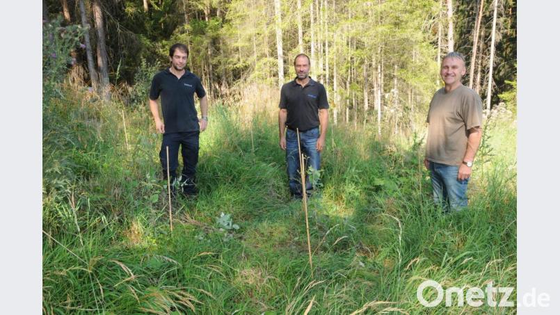 „Nicht den Mut verlieren – wieder begründen!“ , ist die Devise dieser drei: Förster Bernhard Raschka, Abteilungsleiter Franz Eichenseer und Waldbesitzer Wolfgang Reiff (von links) haben gemeinsam die hoffentlich richtigen Bäume ausgesucht, um den Mischwald zu stabilisieren. Bild: Joachim Gebhardt