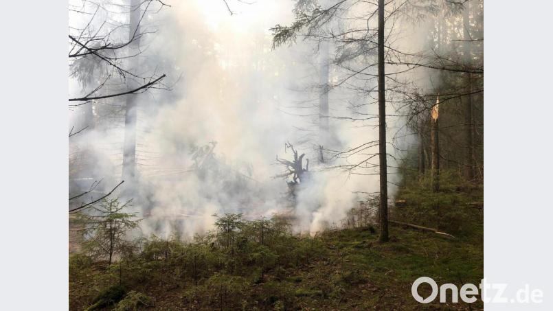 Zum Teil galt und gilt für den Landkreis die höchste Waldbrand-Warnstufe. Die Feuerwehr erinnert an Verhaltensregeln, damit es nicht zum Ernstfall kommt, ist aber gerüstet. Symbolbild: Feuerwehr Weiden/exb