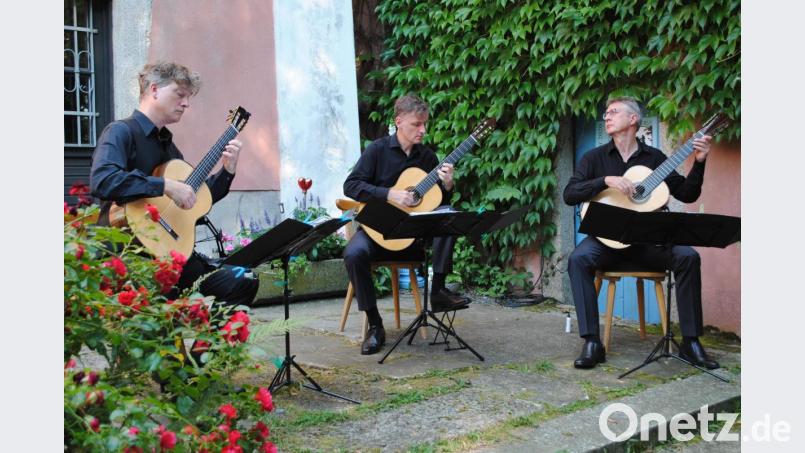 Sanfte Gitarrenklänge auf der Naturbühne des Wurzer Pfarrhofs. Bild: gge