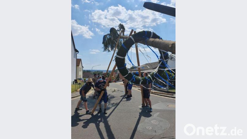 Auch wenn das Exemplar 2020 etwas kleiner aufgefallen ist als sonst, so stellen die Tanzflecker Kirwaburschen doch einen Baum auf. Bild: exb