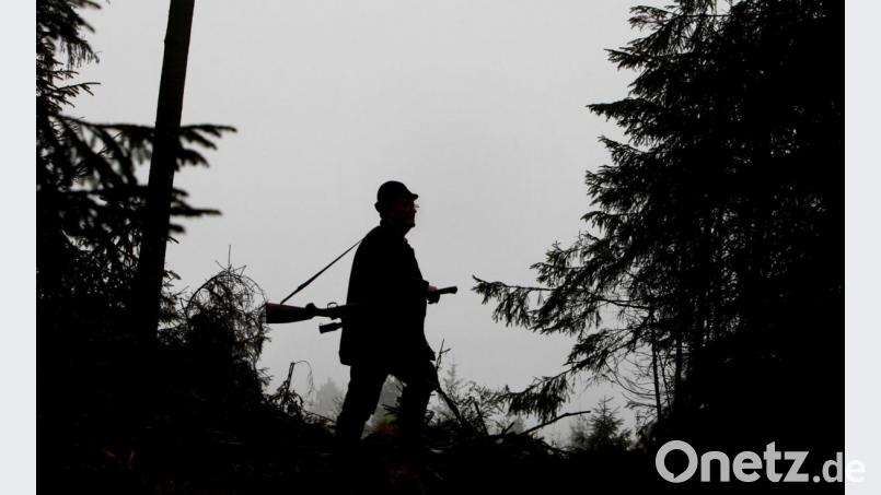 Für die Jagdgenossen aus Waldkirch haben sich einige wichtige Fragen zum Jagdgebiet geklärt. Symbolbild: Karl-Josef Hildenbrand/dpa