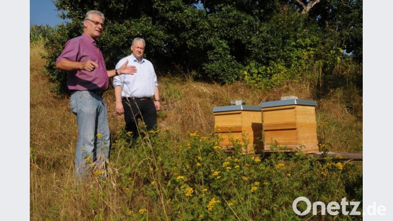 Imker-Chef Helmut Heuberger stellt dem Landrat den Lehrbienenstand vor. Hier können bald auch körperbehinderte Menschen ausgebildet werden. Bild: Joachim Gebhardt