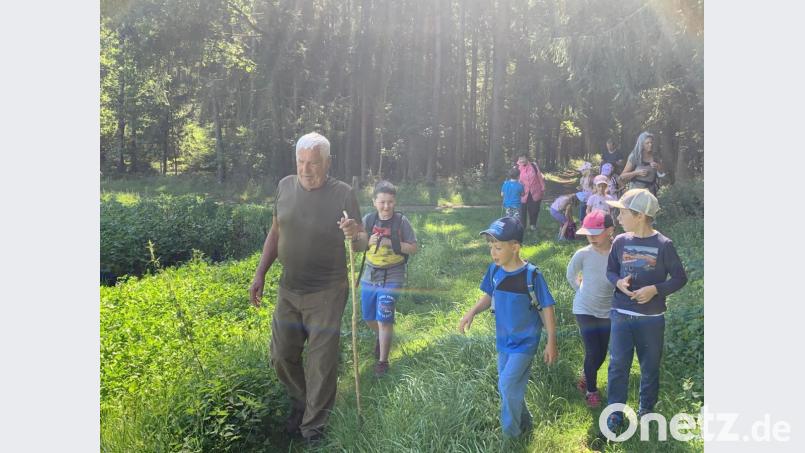 Wald- und Märchenwelt. Bild: Katja Stiegler, AOVE