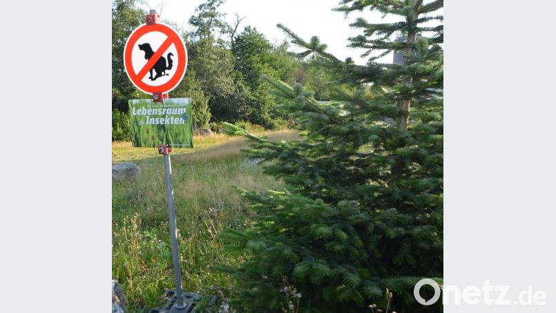 Dieses Verbotsschild soll die Hundebesitzer darauf aufmerksam machen, ihre Vierbeiner nicht einfach zum Häufchen machen in die Blühfläche laufen zu lassen. Bild: dob