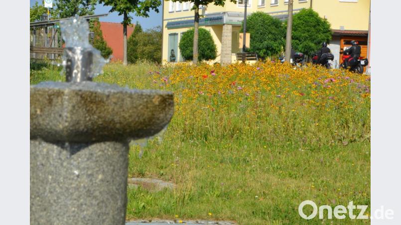 Im Vordergrund plätschert der Dorfbrunnen am Anger in Altenstadt, dahinter blühen die Blumen der angesäten Blühwiese. Ein echter Hingucker! Bild: dob