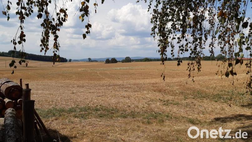 Östlich von Eppenreuth soll eine Freiflächenphotovoltaikanlage entstehen. Bild: Lowak