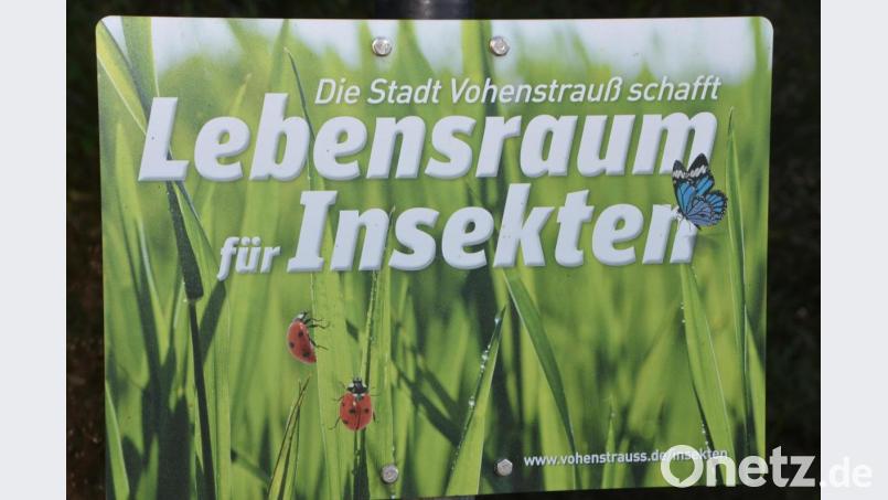 Solche Tafeln werden an den Blühflächen zur Information aufgestellt. Bild: dob